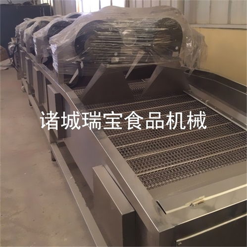 瑞寶食品機械 多圖 渦輪式風干機生產(chǎn)商 上海渦輪式風干機高清圖片 高清大圖